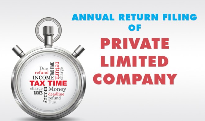 Company annual return